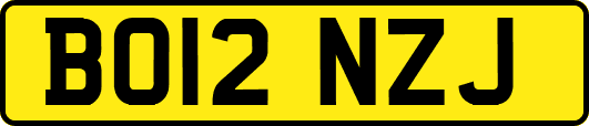 BO12NZJ