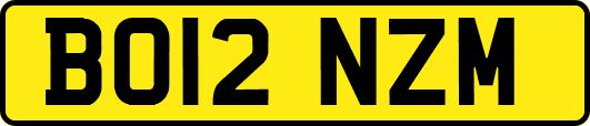 BO12NZM