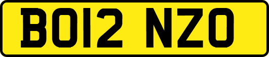 BO12NZO