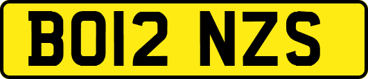 BO12NZS