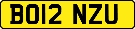 BO12NZU