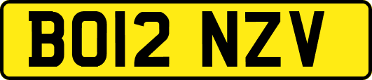 BO12NZV