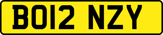 BO12NZY