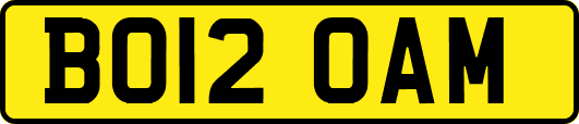 BO12OAM