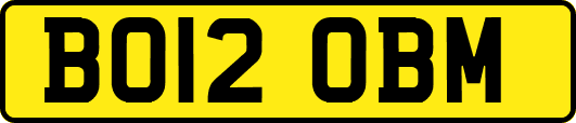 BO12OBM
