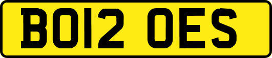 BO12OES