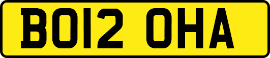 BO12OHA