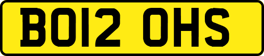 BO12OHS