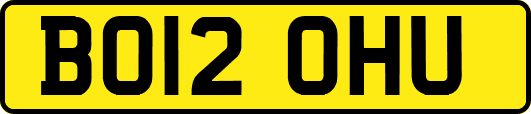 BO12OHU