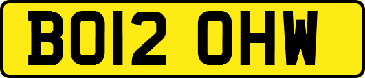 BO12OHW