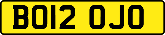 BO12OJO