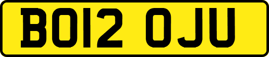 BO12OJU