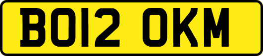 BO12OKM
