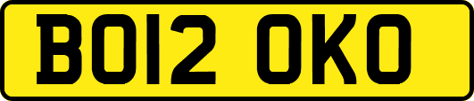 BO12OKO