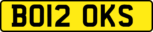 BO12OKS
