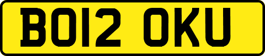 BO12OKU
