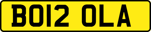 BO12OLA
