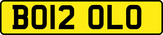 BO12OLO