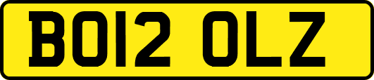 BO12OLZ
