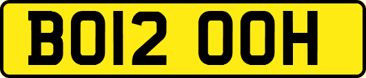 BO12OOH