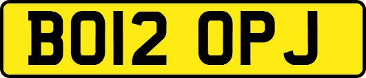 BO12OPJ