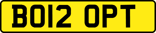 BO12OPT