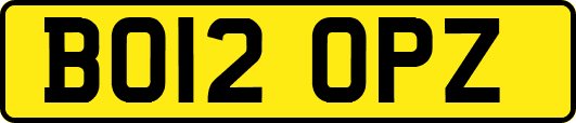 BO12OPZ