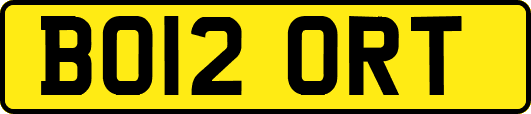 BO12ORT