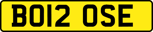 BO12OSE
