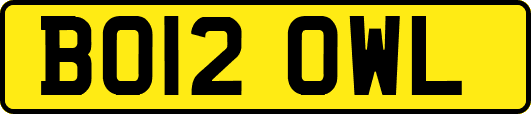 BO12OWL
