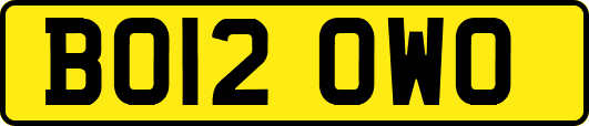 BO12OWO