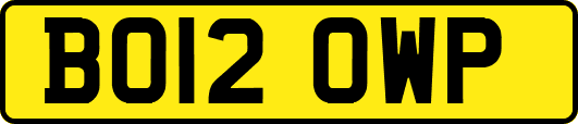BO12OWP