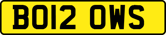 BO12OWS