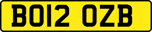 BO12OZB