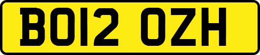 BO12OZH