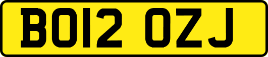BO12OZJ