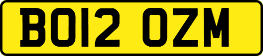 BO12OZM