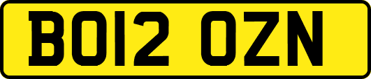 BO12OZN