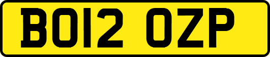 BO12OZP