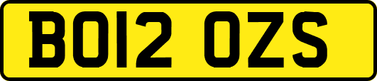 BO12OZS