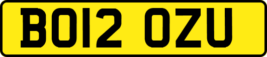 BO12OZU