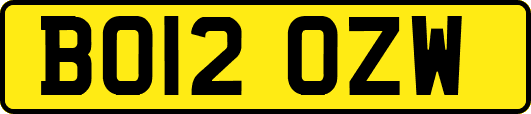 BO12OZW
