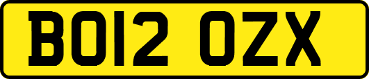 BO12OZX