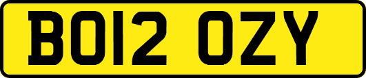 BO12OZY