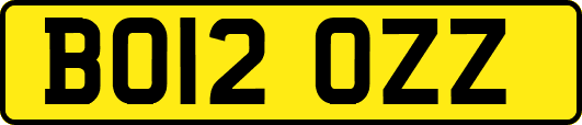 BO12OZZ