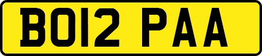 BO12PAA