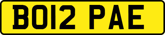 BO12PAE