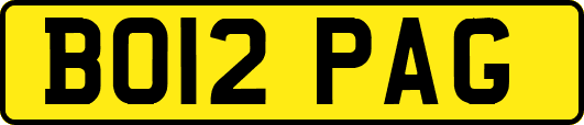 BO12PAG