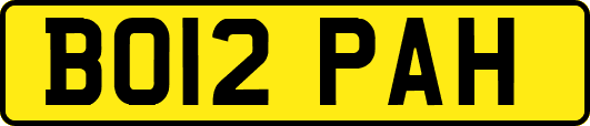 BO12PAH