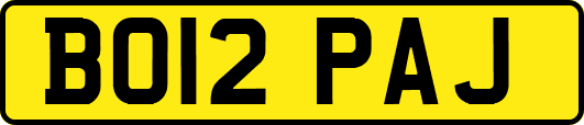 BO12PAJ